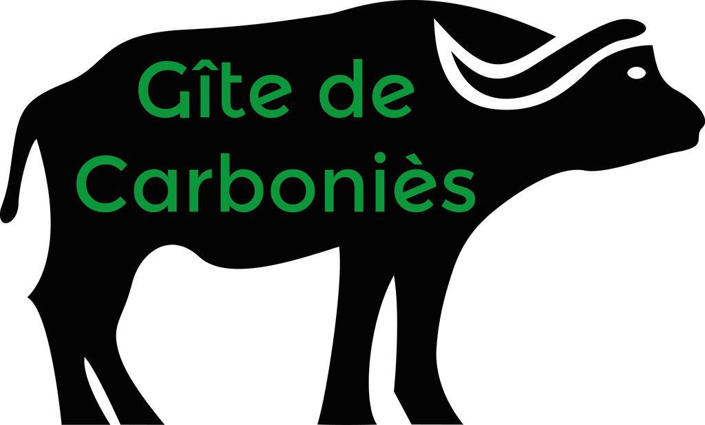 Gite de Carboniès Saint-Félix-de-Lunel Esterno foto