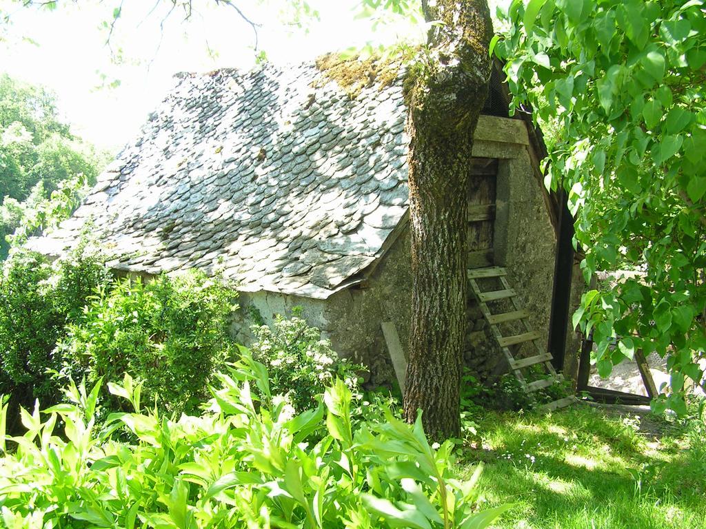 Gite de Carboniès Saint-Félix-de-Lunel Esterno foto